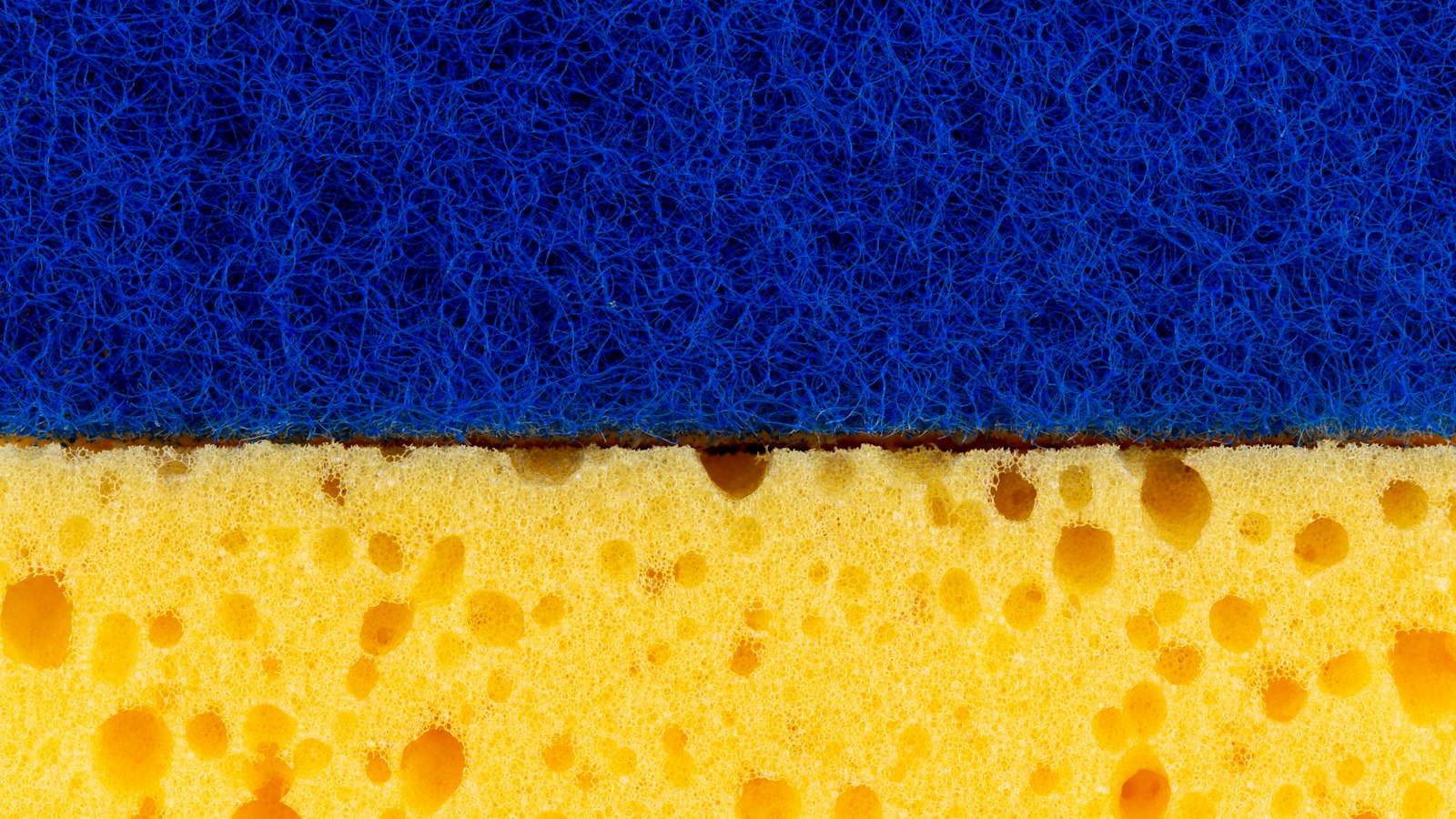 Close-up of a blue scouring pad attached to a yellow porous sponge