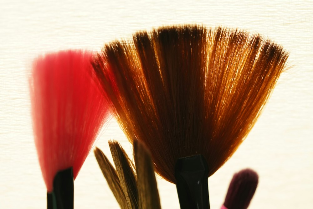 Close-up of several artist paint brushes with pink, brown, and dark bristles